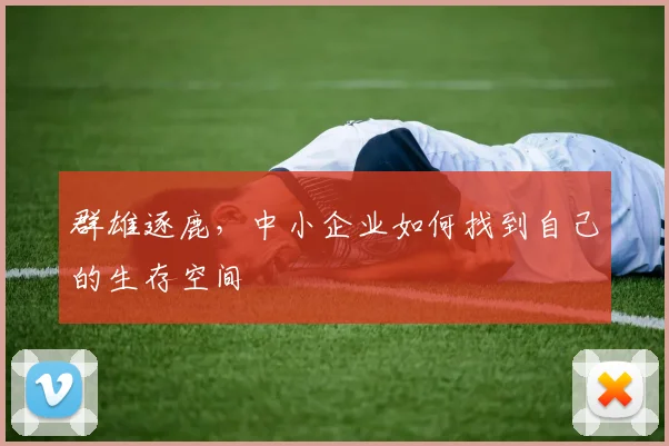 群雄逐鹿，中小企业如何找到自己的生存空间